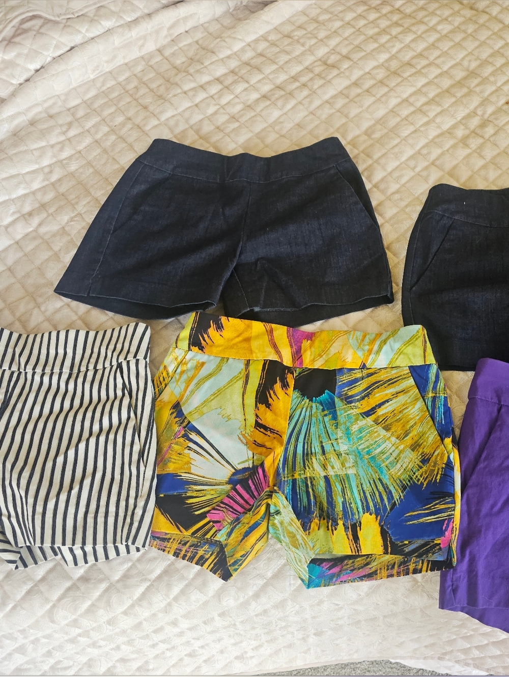 New York & Company Whitney Pull-on Shorts